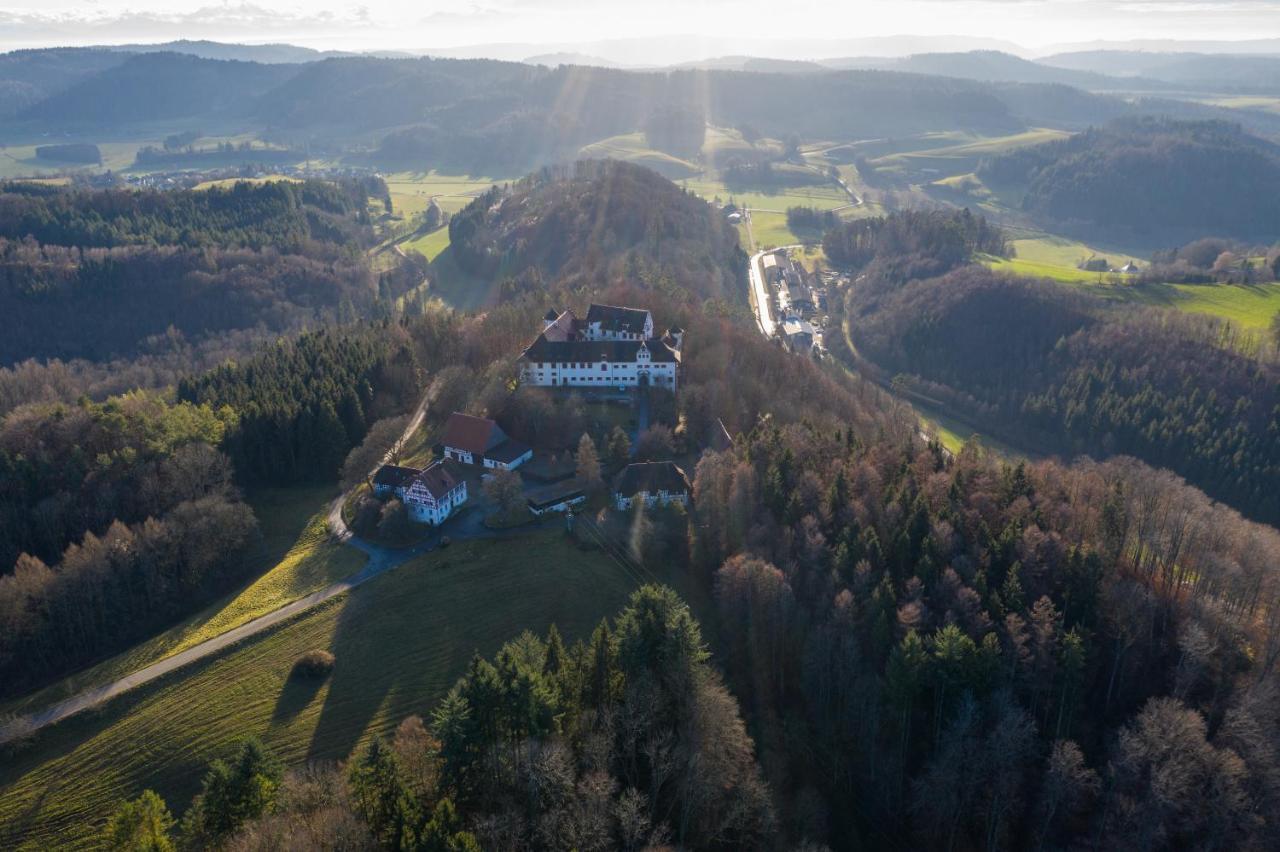 Hotel & Tagungszentrum Schloss Hohenfels Hohenfels  Ngoại thất bức ảnh