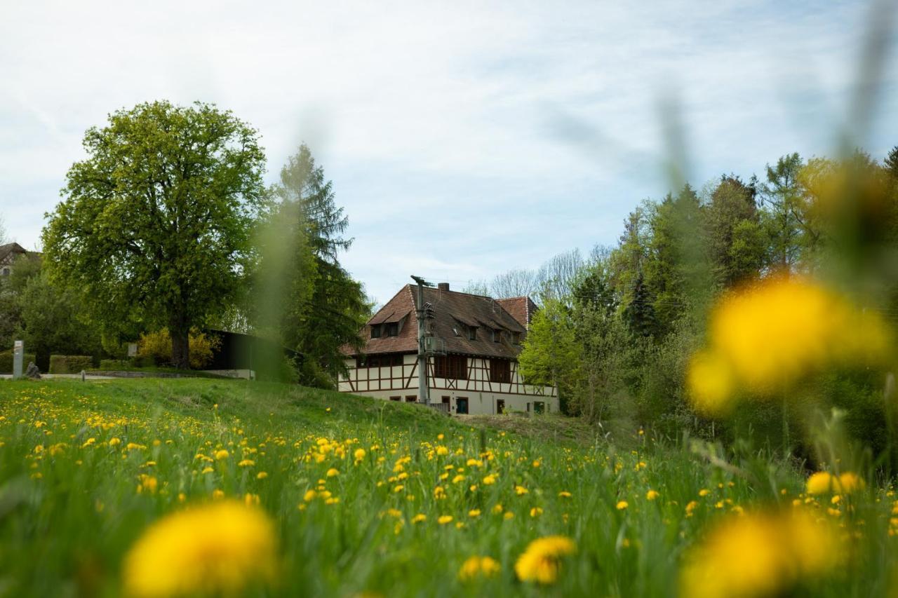 Hotel & Tagungszentrum Schloss Hohenfels Hohenfels  Ngoại thất bức ảnh