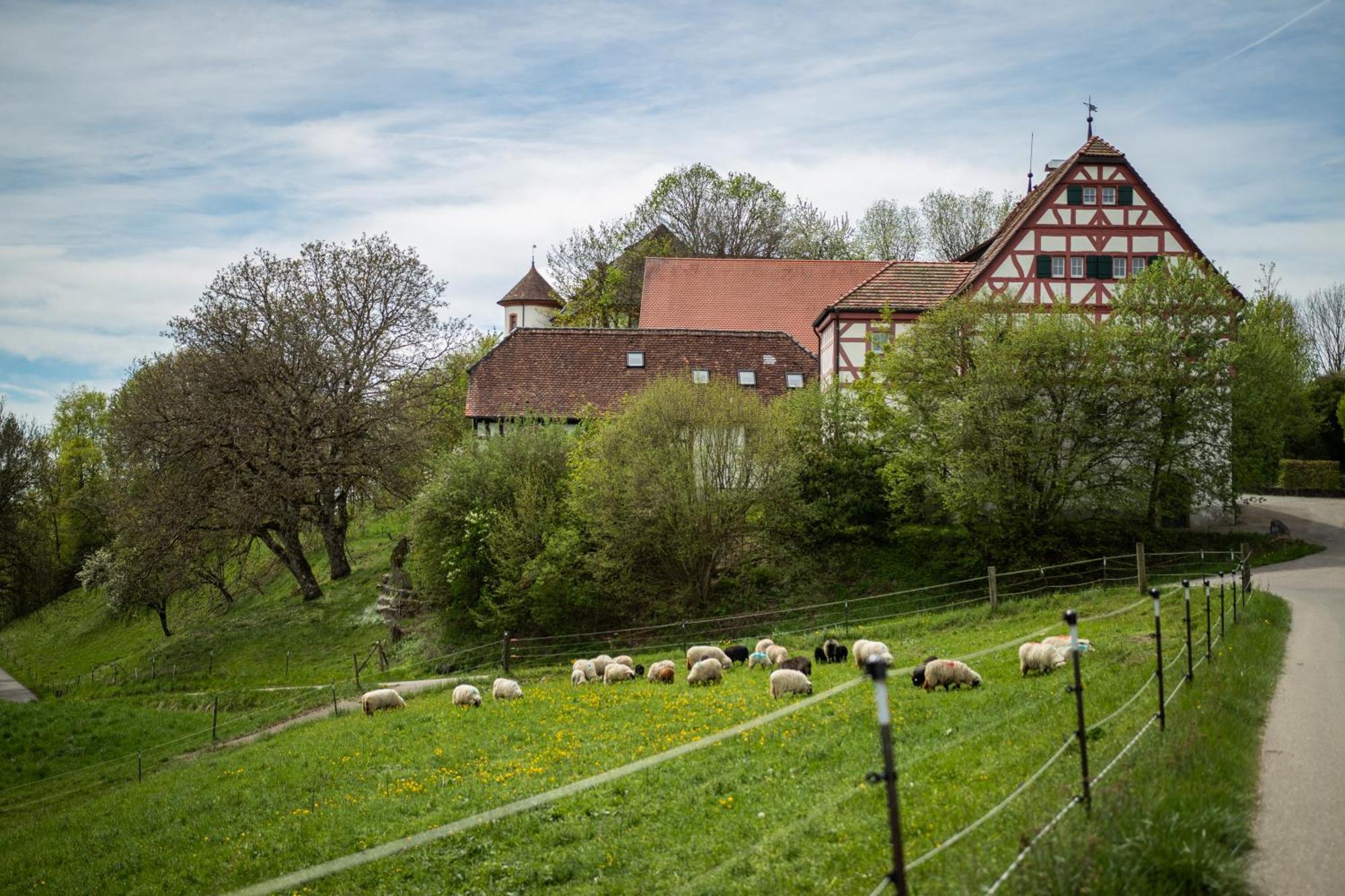 Hotel & Tagungszentrum Schloss Hohenfels Hohenfels  Ngoại thất bức ảnh